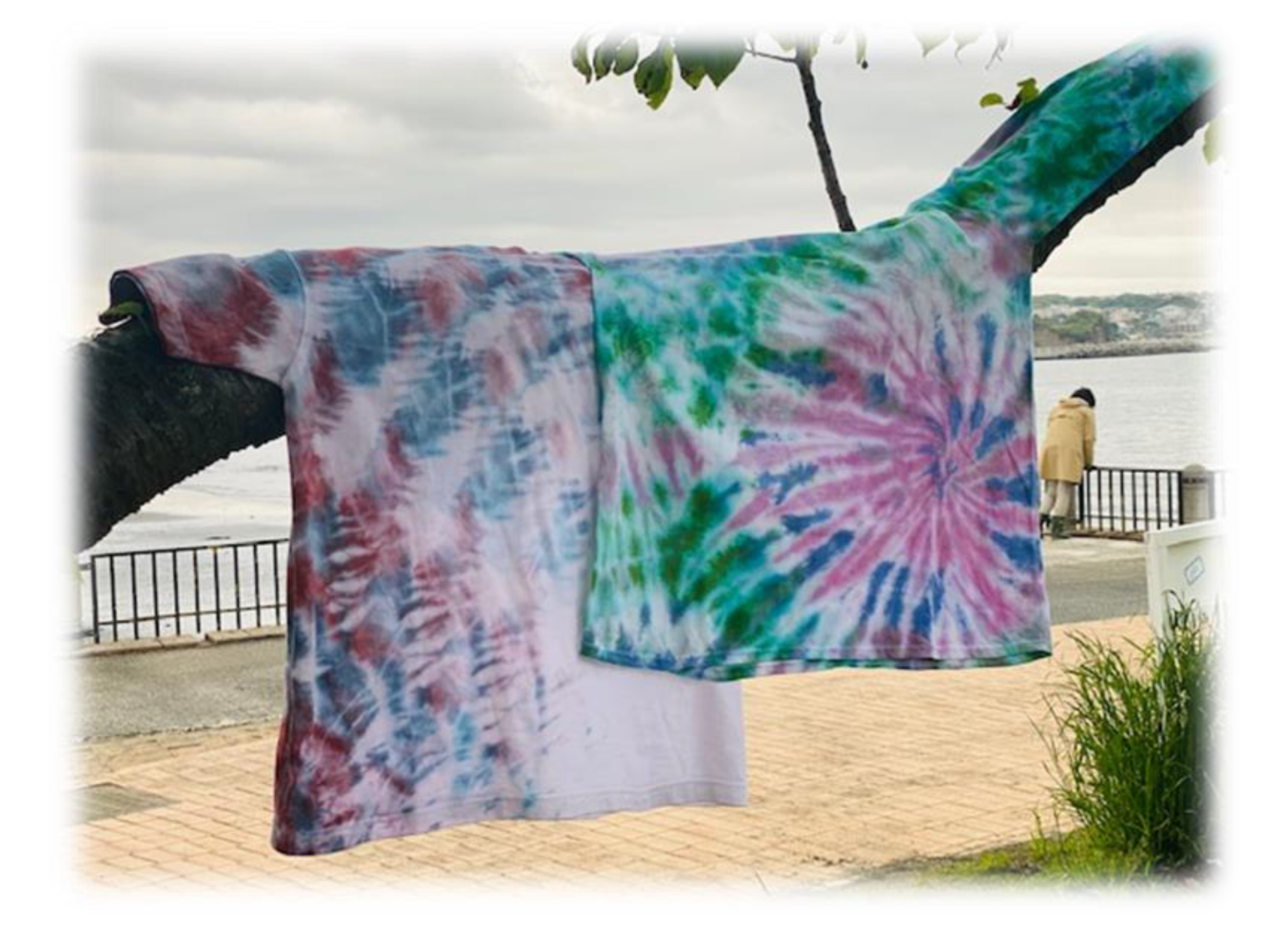 自然乾燥の様子